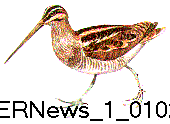 ERNews_1_0102