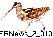 ERNews_2_0102