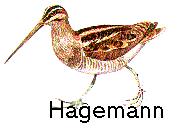 Hagemann