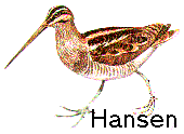 Hansen